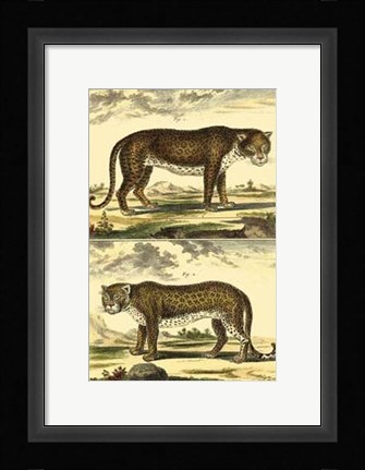 Framed Panther and Leopard Print