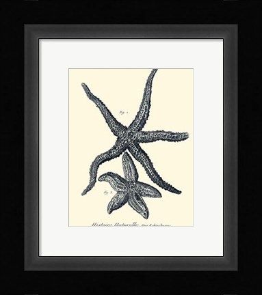 Framed Indigo Starfish I Print