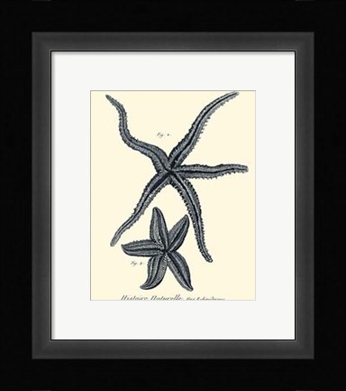 Framed Indigo Starfish II Print