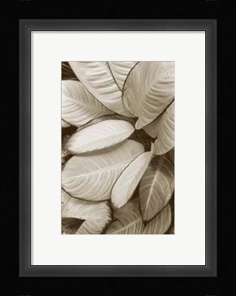 Framed Garden Textures II Print