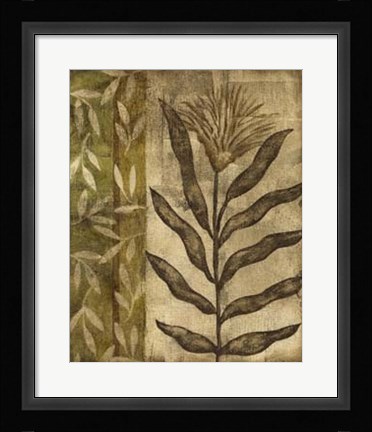 Framed Plant Exotica I Print