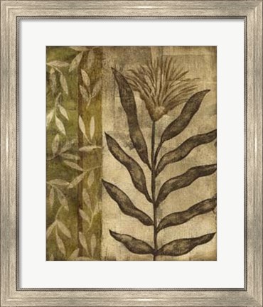 Framed Plant Exotica I Print