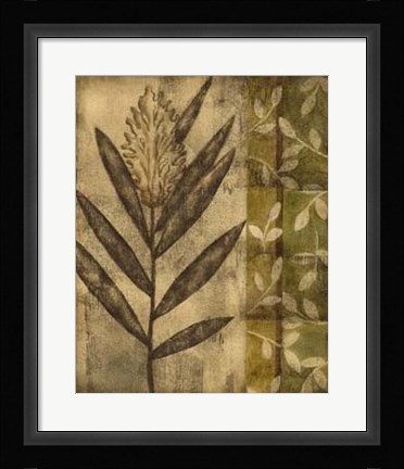Framed Plant Exotica II Print
