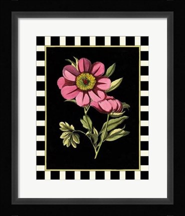 Framed Pink Peony III Print