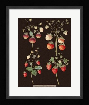 Framed Strawberries Print