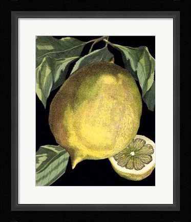 Framed Fragrant Citrus I Print
