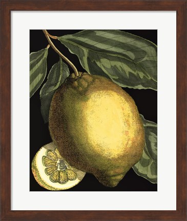 Framed Fragrant Citrus II Print