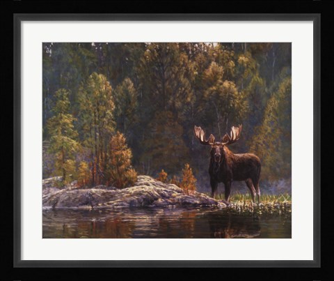 Framed North Country Moose Print