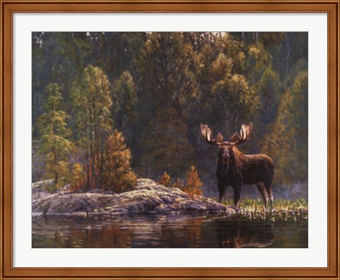 Framed North Country Moose Print