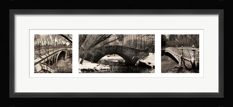 Framed Central Park Bridges Print