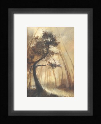 Framed Woodland Grove Print