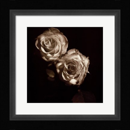 Framed Circus Roses Print