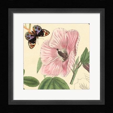 Framed Hibiscus Print