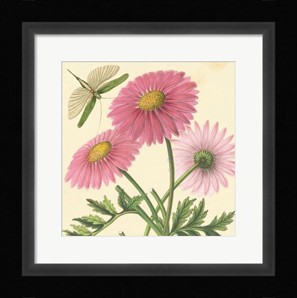 Framed Pink Gerber Print