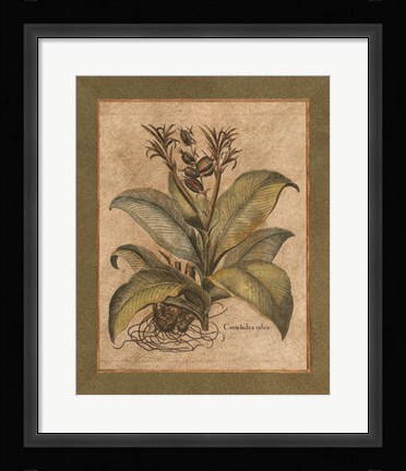 Framed Valencia I Print