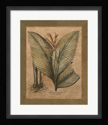 Framed Valencia II Print