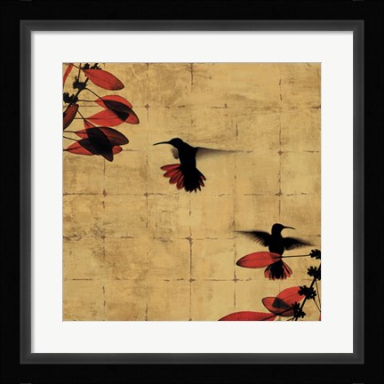 Framed Colibri I Print