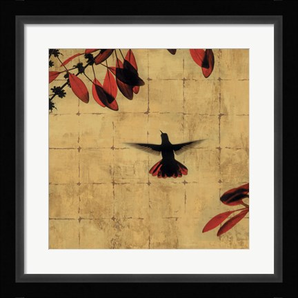 Framed Colibri II Print