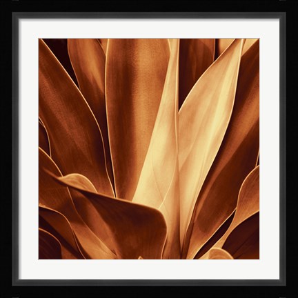 Framed Santa Fe I Print