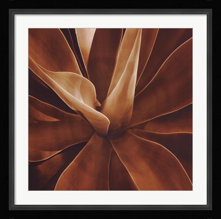 Framed Santa Fe II Print