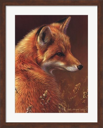 Framed Curious Red Fox Print