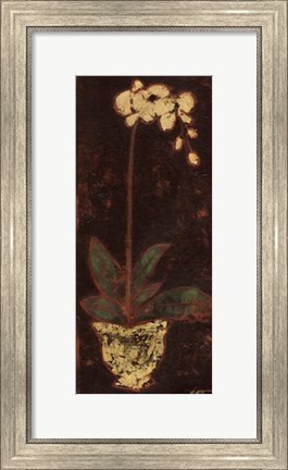 Framed Gilded Orchid I Print