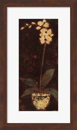 Framed Gilded Orchid II Print