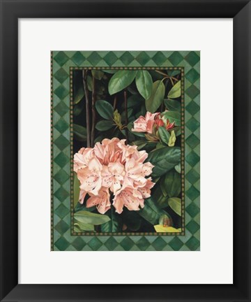 Framed Rhododendrum I Print
