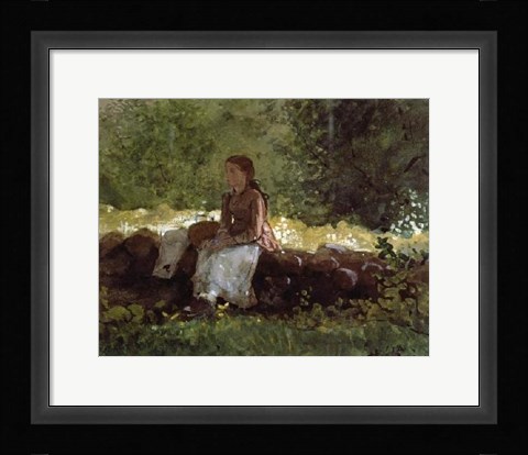 Framed On The Fence Print