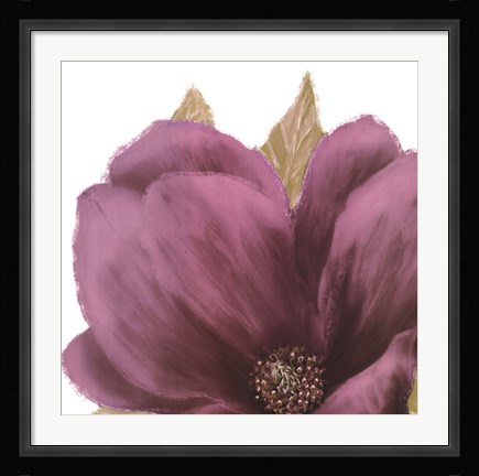 Framed Grandiflora Blush II Print