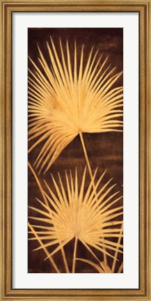 Framed Fan Palm Triptych II Print