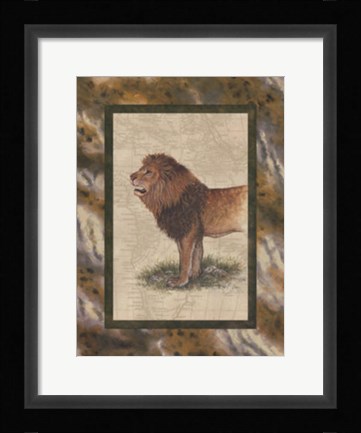 Framed Lion Print