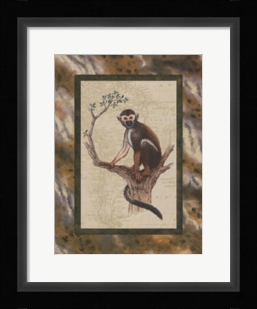 Framed Squirrel Monkey Print