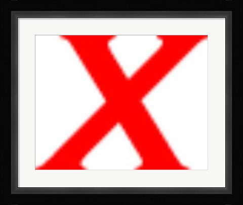 Framed Sunlit Rain forest I Print