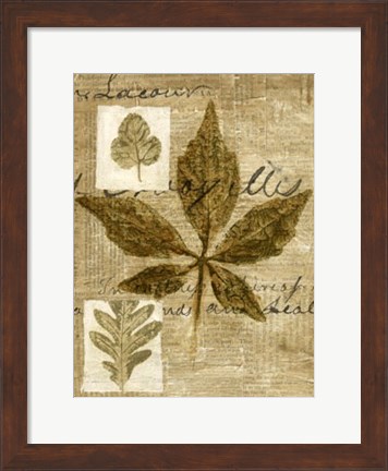 Framed Leaf Collage III Print