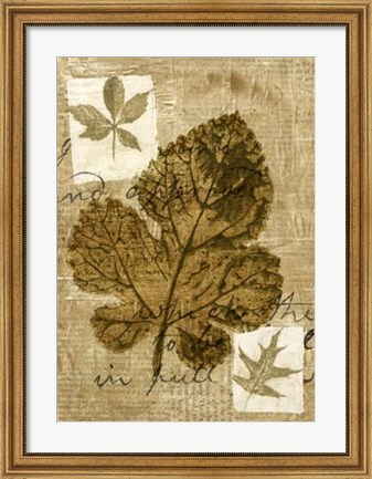 Framed Leaf Collage IV Print
