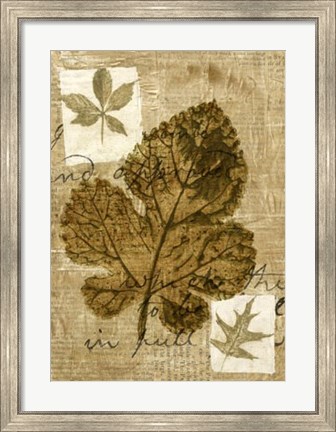 Framed Leaf Collage IV Print