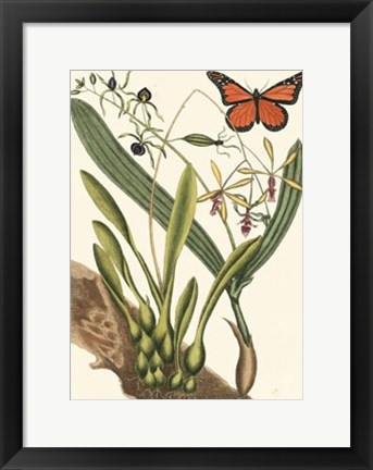 Framed Butterfly and Botanical IV Print