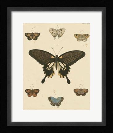 Framed Heirloom Butterflies I Print