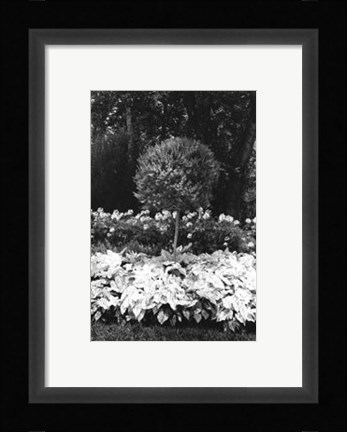 Framed Garden Hideaway II Print