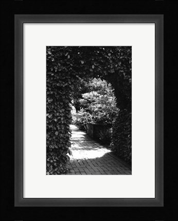 Framed Garden Hideaway IV Print