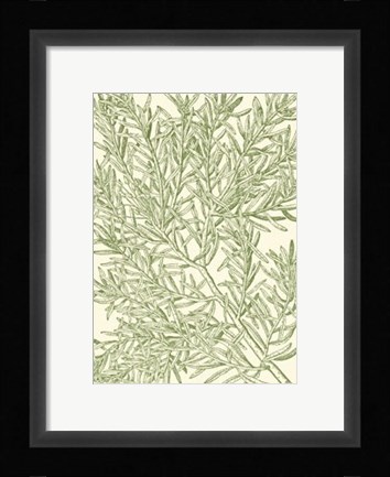Framed Mossy Branches I Print
