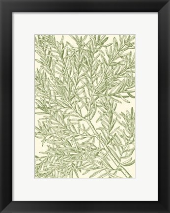 Framed Mossy Branches I Print