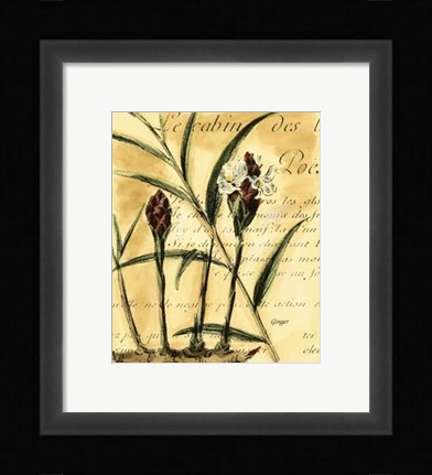 Framed Ginger Print
