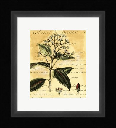 Framed Cinnamon Print