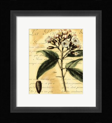 Framed Clove Print