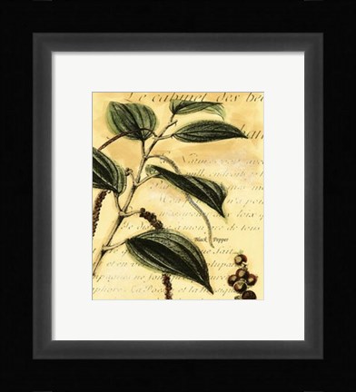 Framed Black Pepper Print