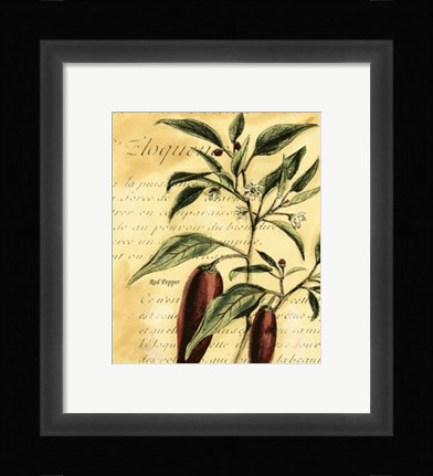 Framed Red Pepper Print