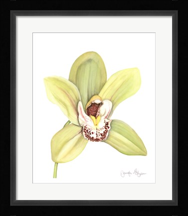 Framed Orchid Beauty II Print