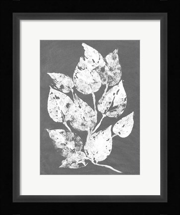 Framed Frosty Philodendron I Print